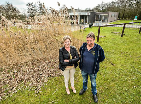Stinkend rietveld De Balokken verdwijnt De Balokken